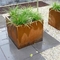 Υπαίθρια ανθεκτικά τετραγωνικά σκουριασμένα κιβώτια καλλιεργητών χάλυβα Corten για τον κήπο