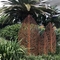 Έργο τέχνης γλυπτών κήπων χάλυβα Corten μορφής σφαιρών τρισδιάστατο